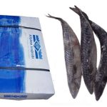 Titus Fish- carton - 20kg