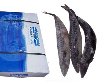 Titus Fish- carton - 20kg