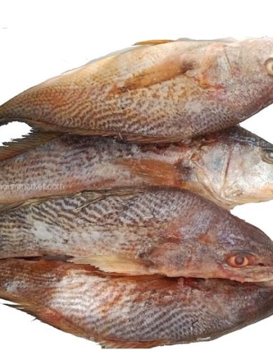 Frozen Croaker Fish - Carton 20kg