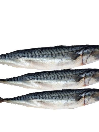 Titus Fish- carton - 1kg