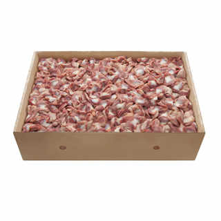 Frozen Turkey Gizzard (One Carton, 10 kg)